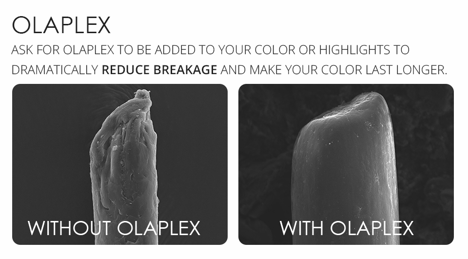olaplex hair repair in Belfast 